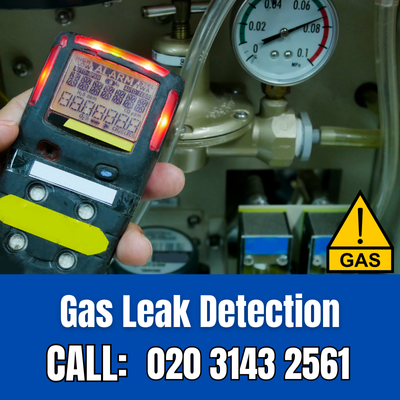 Expert Gas Leak Detection Services in Longfield | Longfield Leak Detection