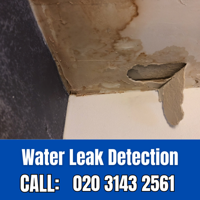 Expert Water Leak Detection Services in Longfield | Longfield Leak Detection